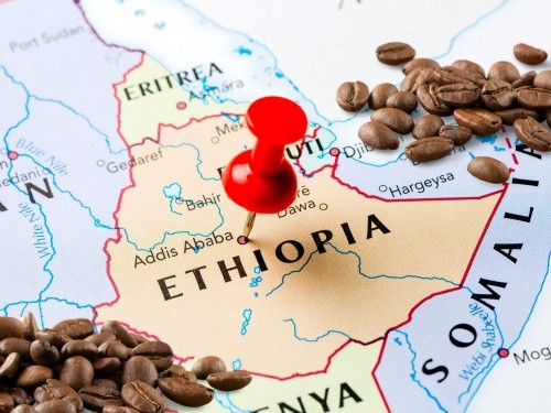 ¿CÓMO SE PREPARABA EL CAFÉ ANTIGUAMENTE? AQUÍ TE EXPLICAMOS SU HISTORIA: